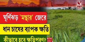 ঘূর্ণিঝড় ‘মন্থা’র জেরে ধান চাষের ব্যাপক ক্ষতি