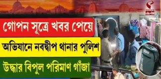 নবদ্বীপে পুলিশি অভিযানে উদ্ধার বিপুল পরিমাণ গাঁজা,গ্রেফতার ২
