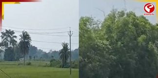 ‘মন্থা’র আতঙ্কে ধানচাষীদের কপালে চিন্তার ভাঁজ, কী বলছেন চাষীরা!