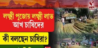 লক্ষ্মী পুজোয় লক্ষ্মী লাভ আখ চাষিদের, কী বলছেন চাষিরা?