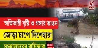 অতিভারী বৃষ্টি ও গঙ্গার ভাঙন জোড়া চাপে দিশেহারা সান্যালচরের বাসিন্দারা