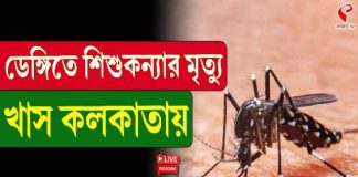 ডেঙ্গিতে শিশুকন্যার মৃত্যু খাস কলকাতায়