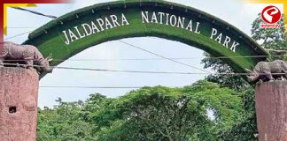 জলদাপাড়া জাতীয় উদ্যানের কোর এলাকায় প্লাস্টিকের বর্জ্য, উদ্বেগ বনদফতরের