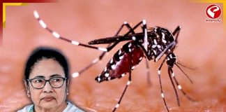 ডেঙ্গি দমনে ৭৫০ কোটি খরচ করবে রাজ্য! কী কী ব্যবস্থা? জেনে নিন