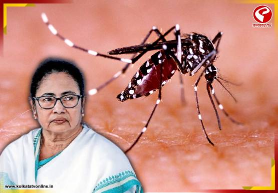 Breaking Jacket 555x385 - 2025-11-01T102001.007