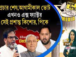 Fourth Pillar | প্রচার শেষ, আগামীকাল ভোট, এখনও এক্স ফ্যাক্টর সেই প্রশান্ত কিশোর, পিকে