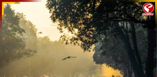 কলকাতায় জাঁকিয়ে ঠান্ডা কবে?কাঁপছে পশ্চিমের জেলাগুলি