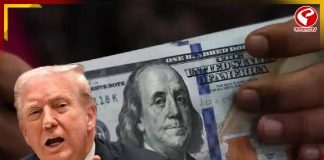 ট্রাম্পের নামে ২০০০ ডলারের চেক! গুজব নাকি সত্যি?