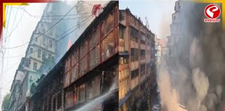 ‘২২ বার আগুন লেগেছে! কারও টনক নড়ল না’, ক্ষুব্ধ কাউন্সিলর