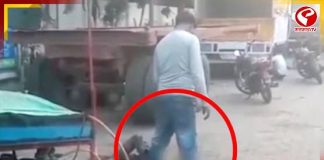 প্রতিবন্ধী ব্যক্তির মুখে প্রস্রাব! দেখুন ডবল-ইঞ্জিন রাজ্যের কী হাল