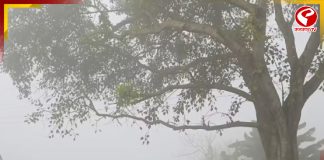 আসছে না শীত, ঠান্ডায় বাধা ঘূর্ণিঝড়! সপ্তাহান্তে দক্ষিণবঙ্গে আরও চড়বে পারদ