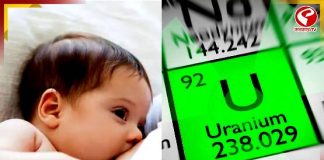 মাতৃদুগ্ধে ইউরেনিয়াম! বাড়ছে ক্যানসারের ঝুঁকি? বিহারে ছড়াচ্ছে আতঙ্ক!