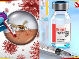 ডেঙ্গি নিয়ে আতঙ্কের দিন শেষ! ট্রায়ালে সফল সিঙ্গেল-ডোজ ভ্যাকসিন