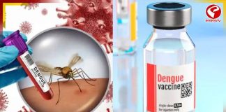ডেঙ্গি নিয়ে আতঙ্কের দিন শেষ! ট্রায়ালে সফল সিঙ্গেল-ডোজ ভ্যাকসিন