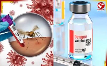 ডেঙ্গি নিয়ে আতঙ্কের দিন শেষ! ট্রায়ালে সফল সিঙ্গেল-ডোজ ভ্যাকসিন