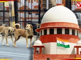 শিক্ষা প্রতিষ্ঠান,হাসপাতাল,রেল স্টেশন থেকে সরাতে হবে পথকুকুর,নির্দেশ সুপ্রিম কোর্টের