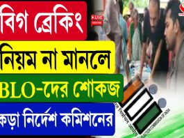 নিয়ম না মানলে BLO-দের শোকজ, কড়া নির্দেশ কমিশনের