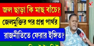 জল ছাড়া কি মাছ বাঁচে? জেলমুক্তির পর প্রশ্ন পার্থর, রাজনীতিতে ফেরার ইঙ্গিত?
