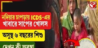 অঙ্গনওয়াড়ি কেন্দ্রের খাবারে সাপের খোলস, খেয়ে অসুস্থ ৭