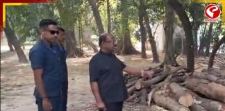 রাজ্যপালের অনুমতি না নিয়েই রাজভবনের গাছ কাটা! কী অবস্থা দেখুন