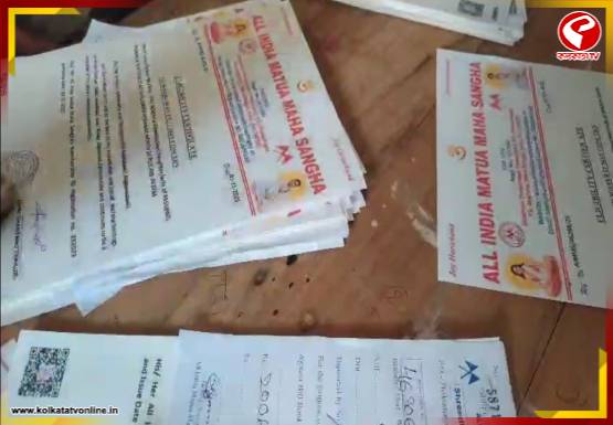 New Project - 2025-11-01T144801.706