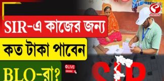 SIR কাজের জন্য কত টাকা পাবেন BLO- রা?