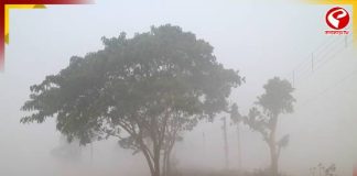 আর কয়েকদিনের মধ্যেই জাঁকিয়ে শীত? কি বলছে আবহাওয়া দফতর