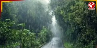 নিম্নচাপে বঙ্গে থমকে শীত, ফের বৃষ্টির পূর্বাভাস