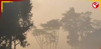 বঙ্গ জুড়ে পারদ পতনের বার্তা, দক্ষিণবঙ্গে শীতের আমেজ