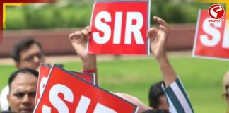 আজ থেকে রাজ্যে শুরু SIR, বাড়ি বাড়ি ফর্ম বিলিতে নামলেন বিএলওরা