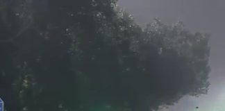 ‘পরিস্থিতি পর্যালোচনা করছি’, বললেন মোদি, শোকপ্রকাশ রাষ্ট্রপতির