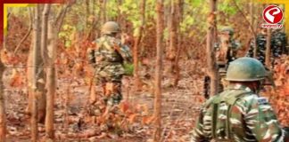 অন্ধ্রপ্রদেশে লাগাতার তল্লাশি, হিডমার পর খতম আরও সাতজনের