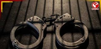 খুনের সুপারি! অস্ত্রসহ দুই ভাড়াটে খুনি গ্রেফতার নাকাশিপাড়ায়