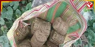 জমি থেকে উদ্ধার তাজা বোমা! কোথা থেকে এল এই বিপুল পরিমান বোমা?