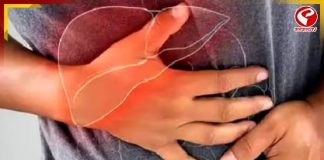 ফ্যাটি লিভার বলে পেঁপে সেদ্ধ খাচ্ছেন? খেতে পারবেন বাদাম-চকলেট