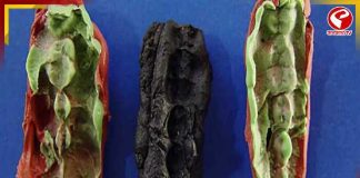 ১০ হাজার বছর পুরনো ‘চুইং গাম’ জানাল কিশোরীর পরিচয়!