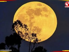 আজ আকাশে দেখা যাবে ‘বিভার মুন’! কখন দেখবেন?