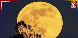 আজ আকাশে দেখা যাবে ‘বিভার মুন’! কখন দেখবেন?