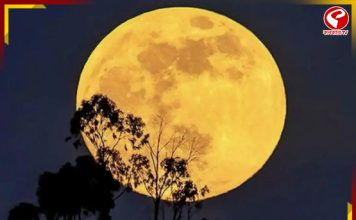 আজ আকাশে দেখা যাবে ‘বিভার মুন’! কখন দেখবেন?
