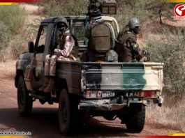 মালিতে অপহৃত ৫ ভারতীয়! চাঞ্চল্য