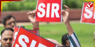 SIR-এর কাজ করতে গিয়ে এবার কেঁদে ফেললেন BLO!