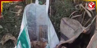 লালগোলায় থেকে উদ্ধার বিপুল পরিমান বোমা! চাঞ্চল্য এলাকায়