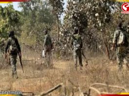 ছত্তিশগড়ে বড় সাফল্য বাহিনীর! নিকেশ ৩ জঙ্গি