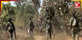 ছত্তিশগড়ে বড় সাফল্য বাহিনীর! নিকেশ ৩ জঙ্গি