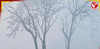 শীতের মাঝেই খারাপ খবর!