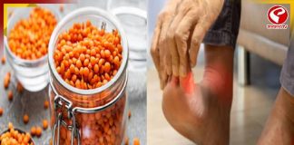 ইউরিক অ্যাসিডেও খেতে পারবেন মুসুর ডাল! কী বলছেন চিকিৎসকরা?