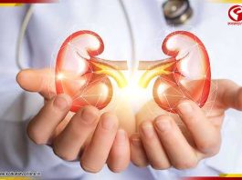 অঙ্গদানের জন্য মৃতদেহে রক্ত চলাচল করালেন এশিয়ার চিকিৎসকরা