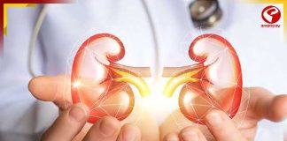 অঙ্গদানের জন্য মৃতদেহে রক্ত চলাচল করালেন এশিয়ার চিকিৎসকরা