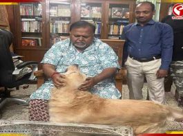 ‘শীঘ্রই কাজে ফিরছি’, জেল থেকে মুক্তি পেয়ে অনুগামীদের জানালেন পার্থ চট্টোপাধ্যায়