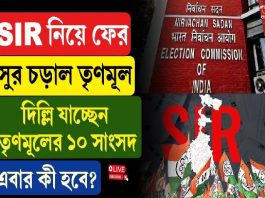 SIR নিয়ে ফের সুর চড়াল তৃণমূল, দিল্লি যাচ্ছেন তৃণমূলের ১০ সাংসদ, এবার কী হবে?